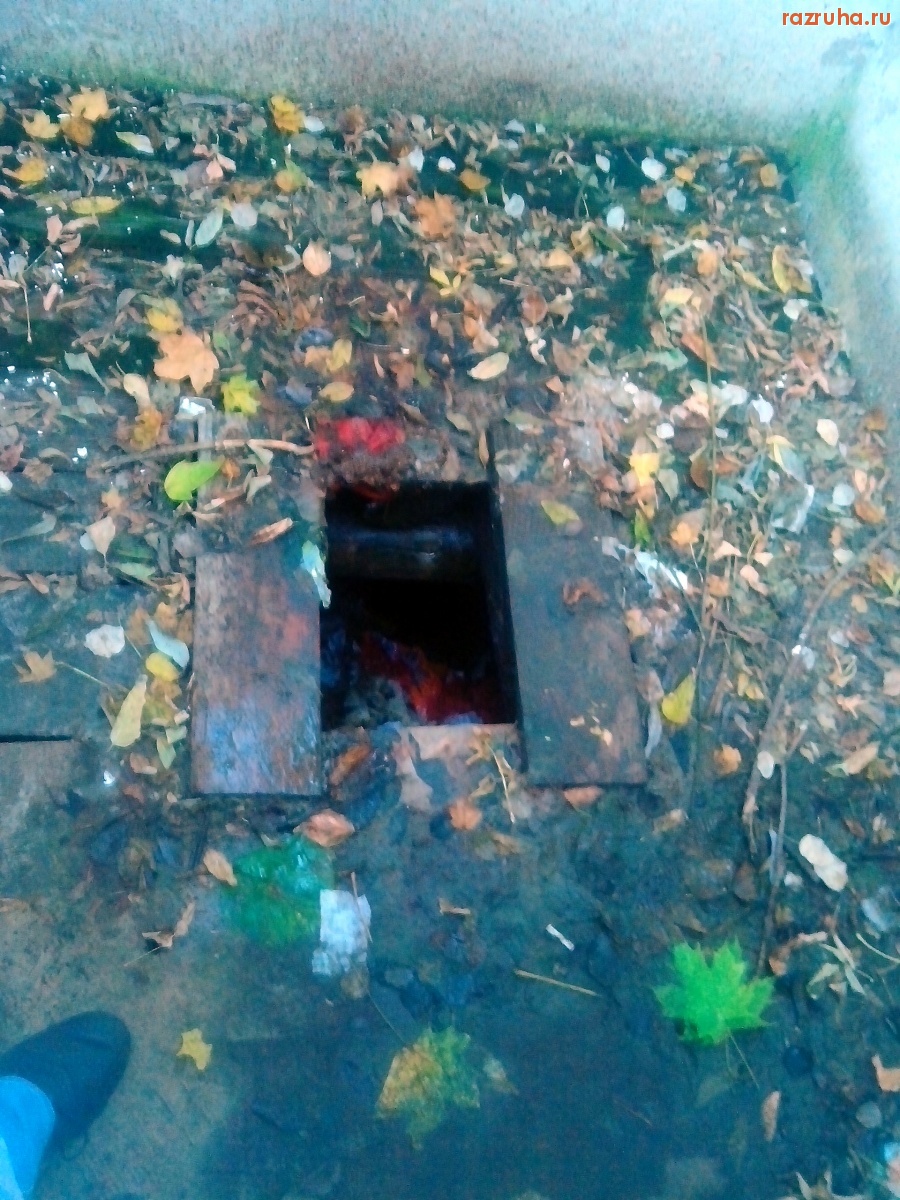 Курск - Очко