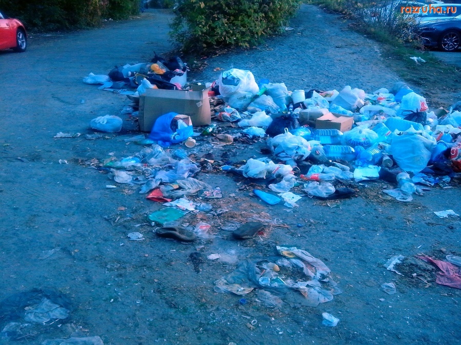 Курск - Скотство на стоянке