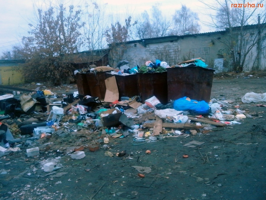 Курск - Консерватизм на помойке