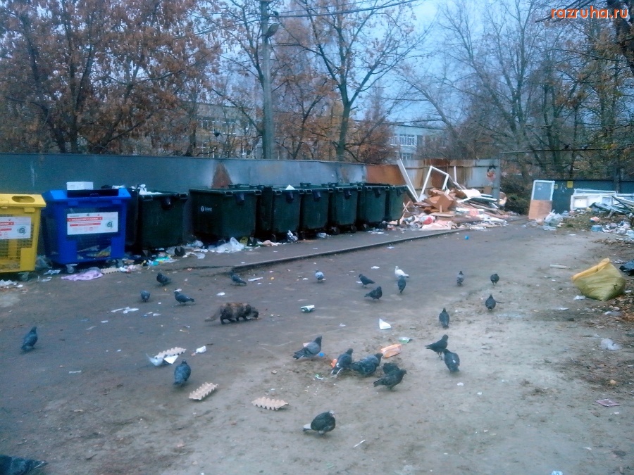 Курск - Грязная помойка