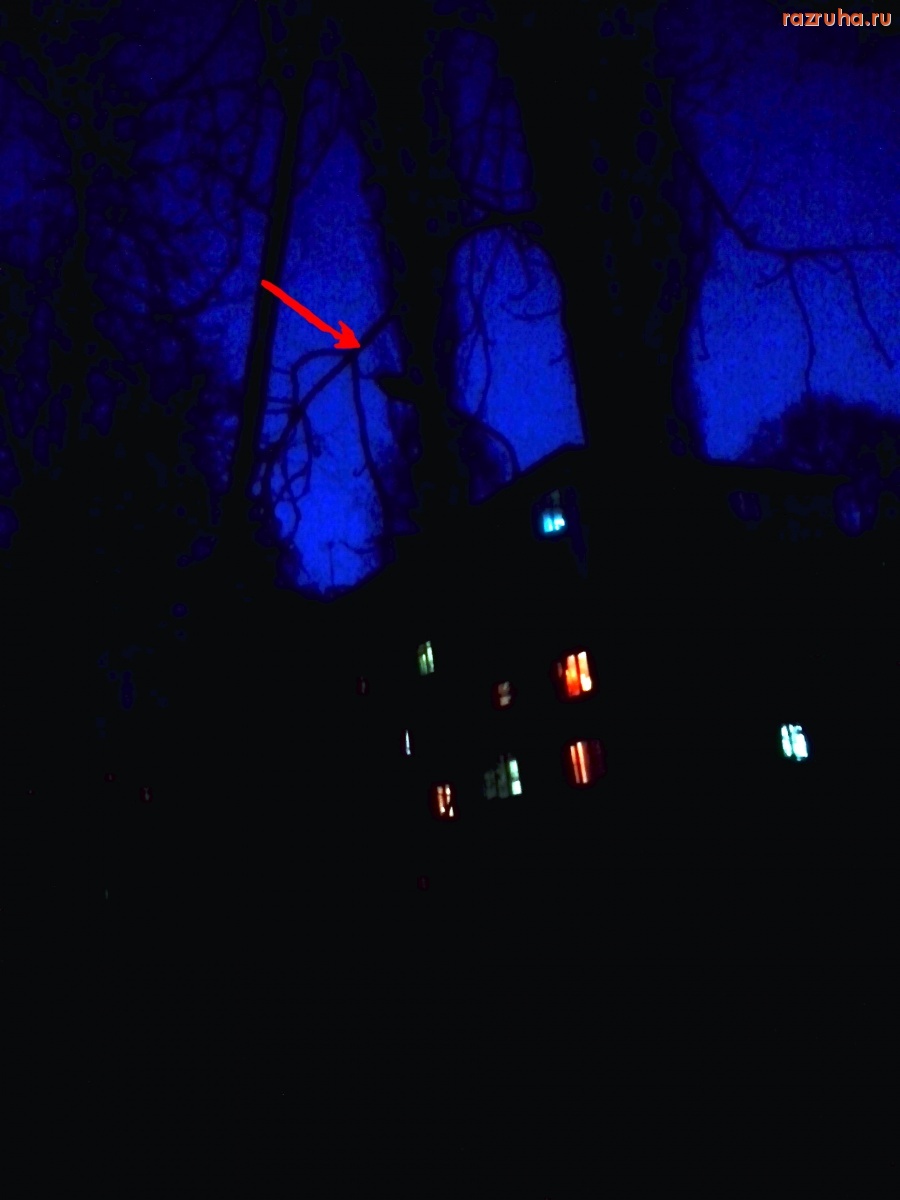 Курск - Посмотрим на звёзды