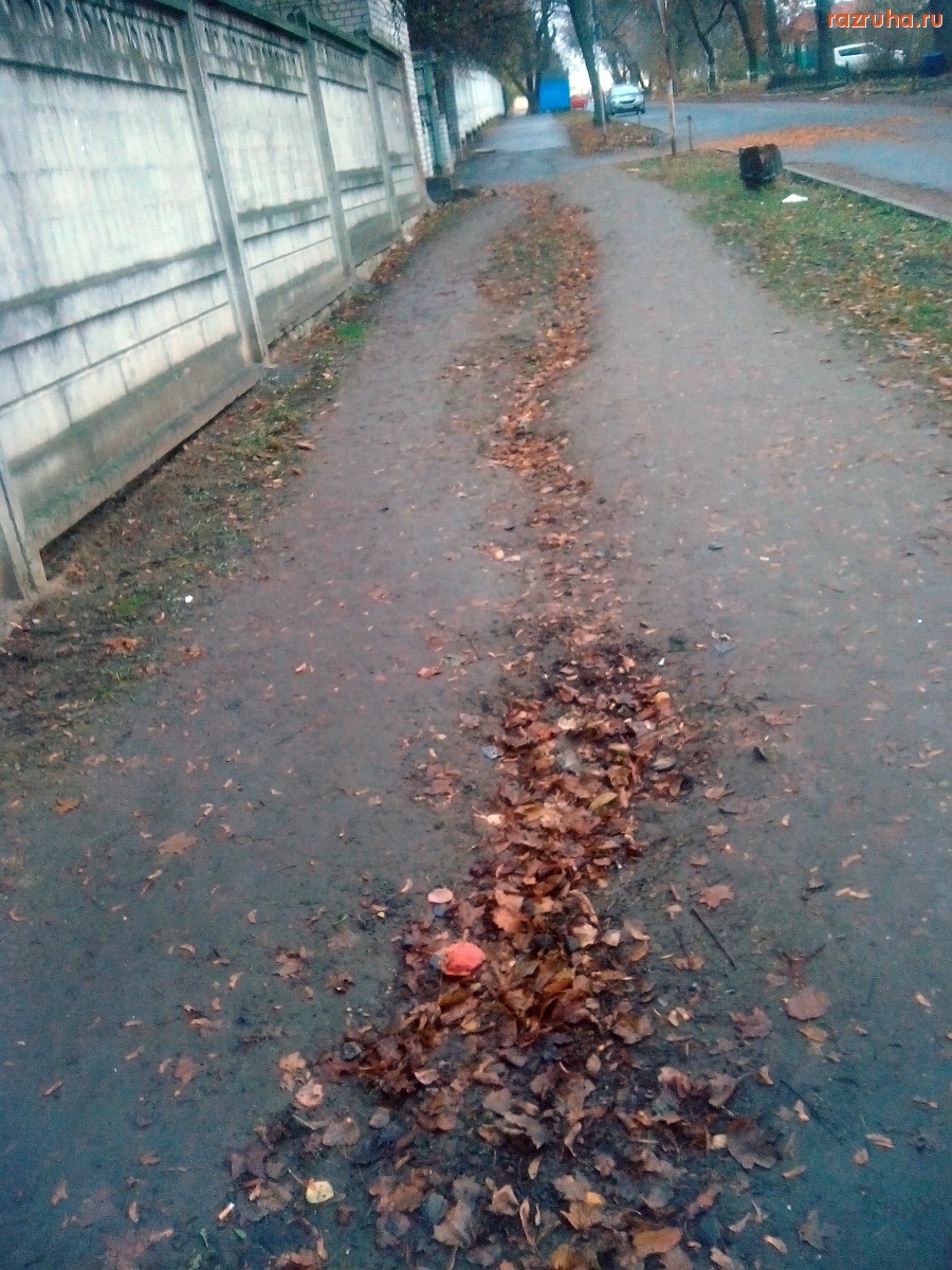 Курск - Тротуар