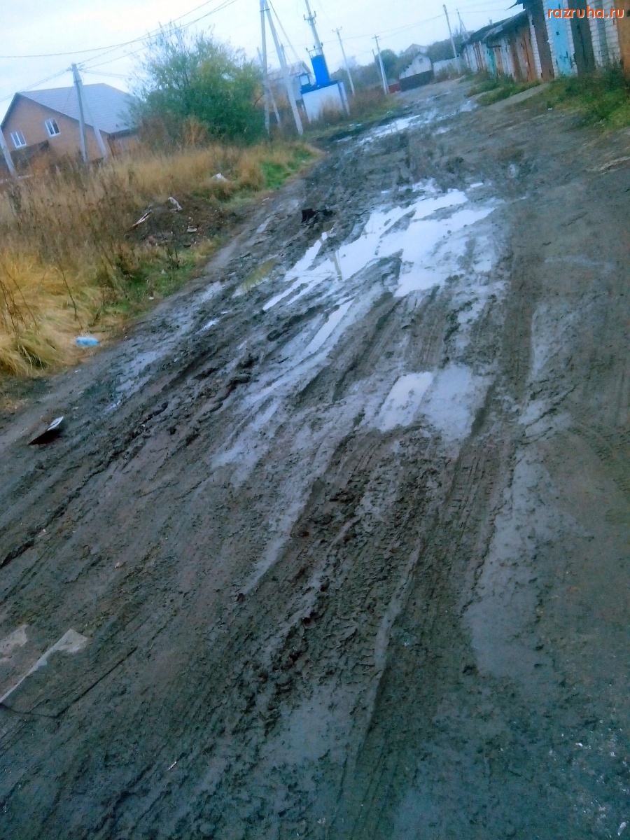 Курск - Грязь дорожная
