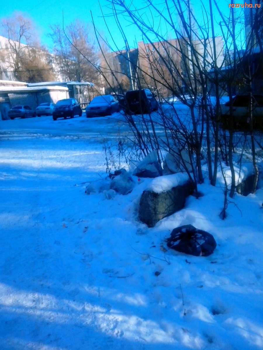 Курск - Гадят