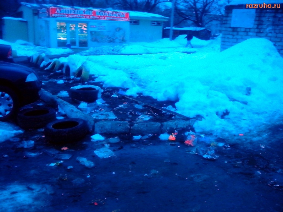 Курск - У помойки тает снег
