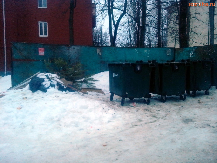 Курск - Ёлки на помойке