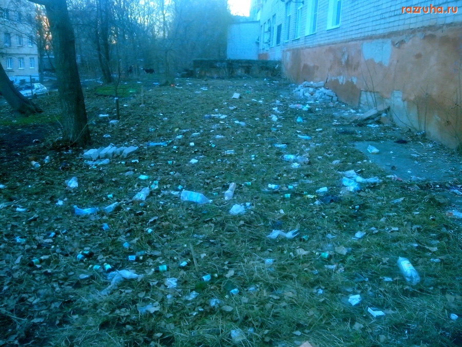 Курск - Гадят под окнами