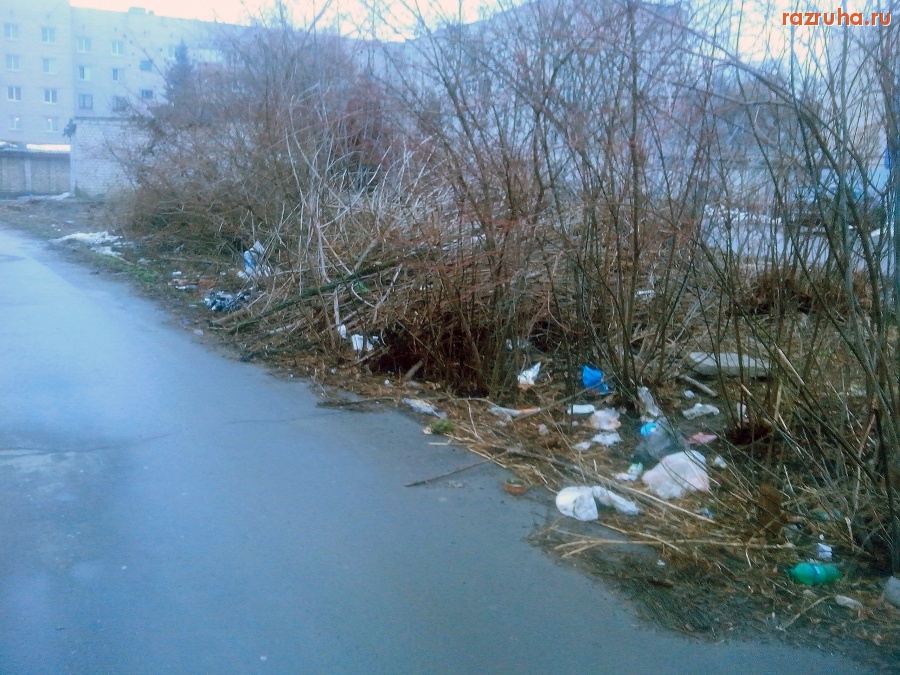 Курск - Ветки и мусор