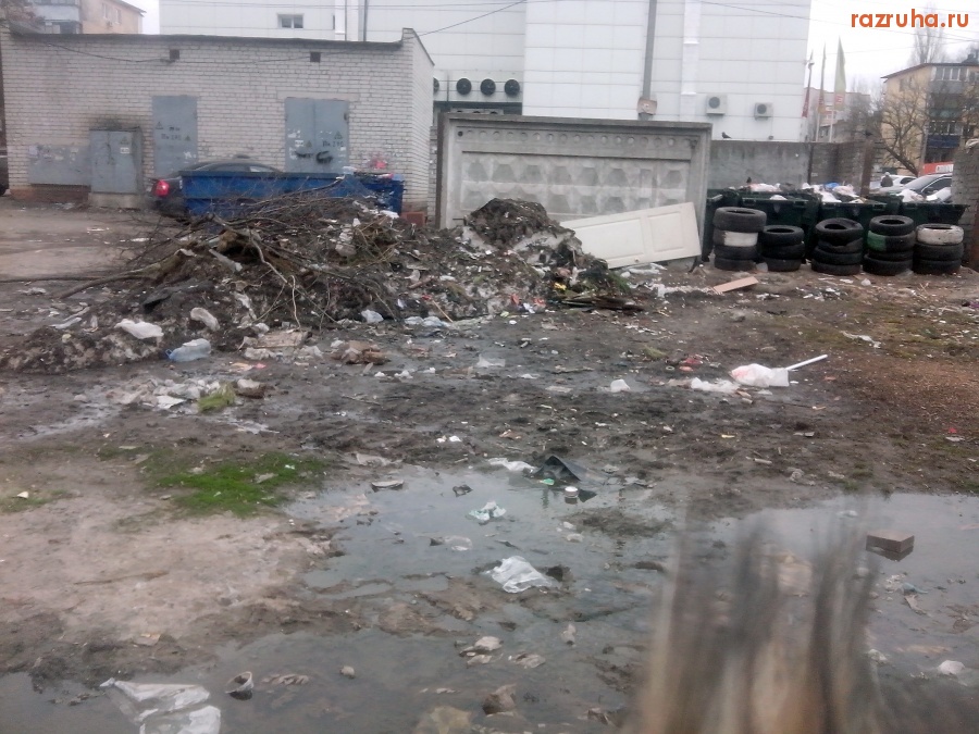 Курск - У помойки