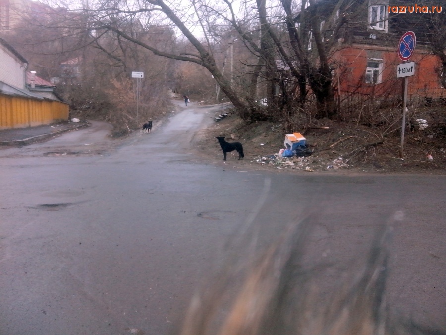 Курск - Урна