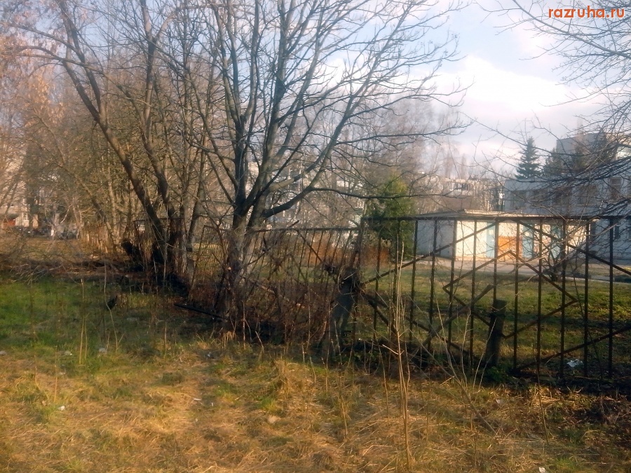 Курск - У забора