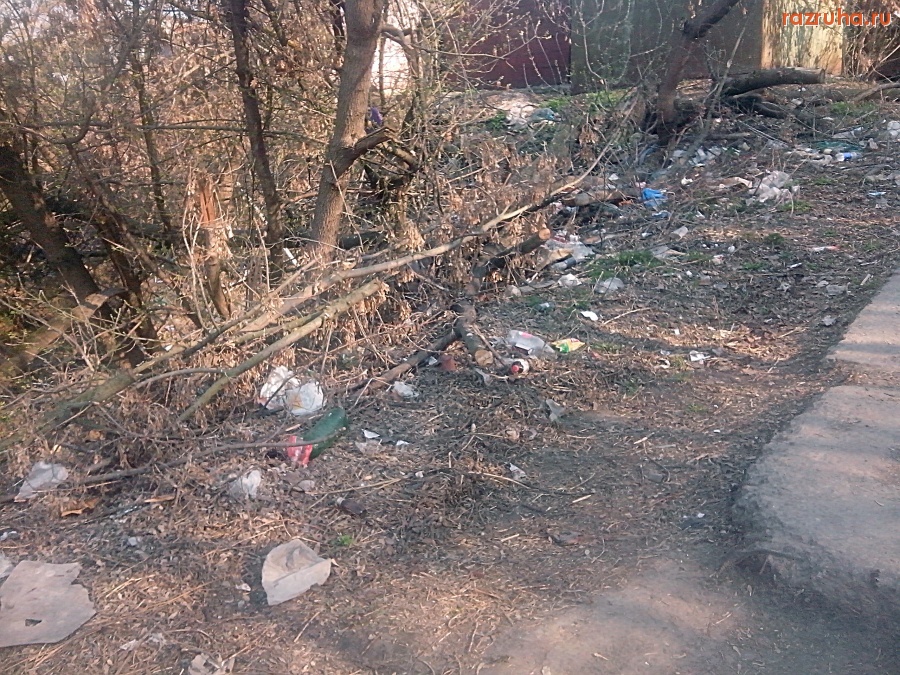 Курск - Гадят за гаражами