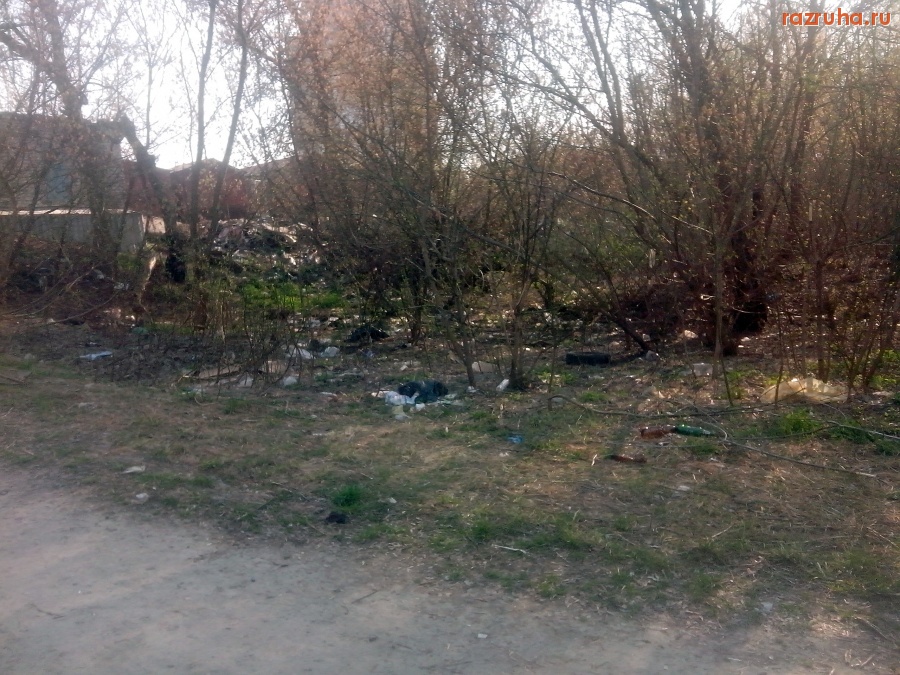 Курск - Свинство за гаражами