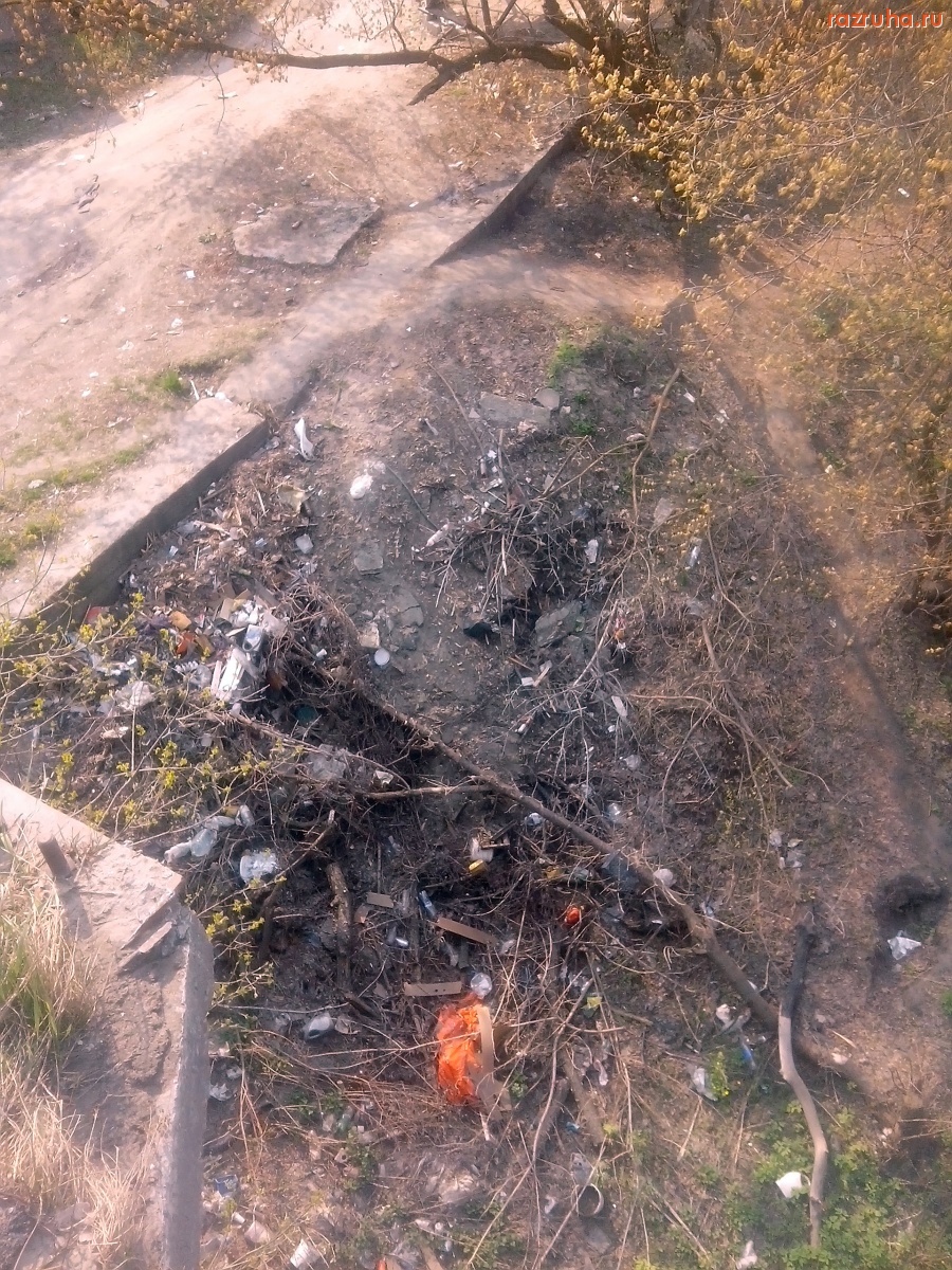 Курск - Гадят на берегу