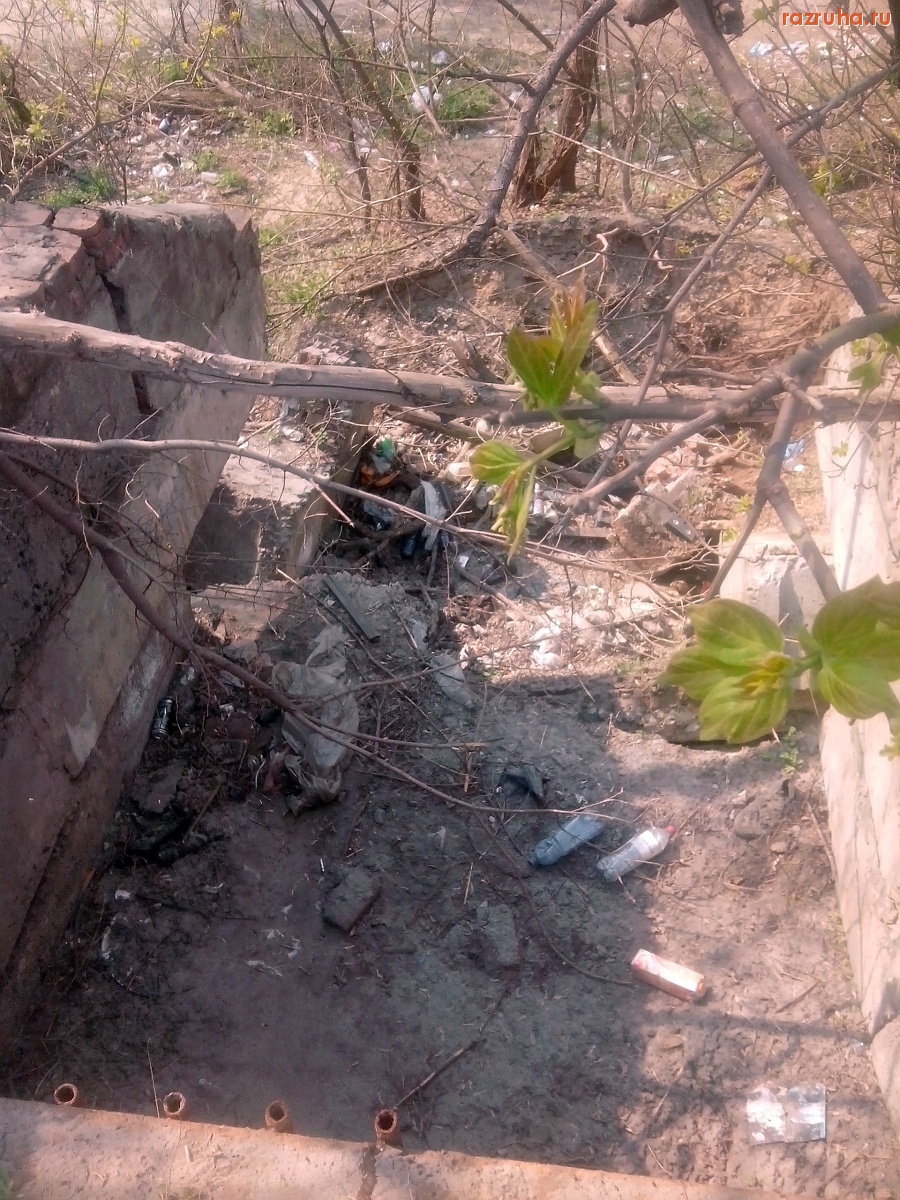 Курск - Загадили входы