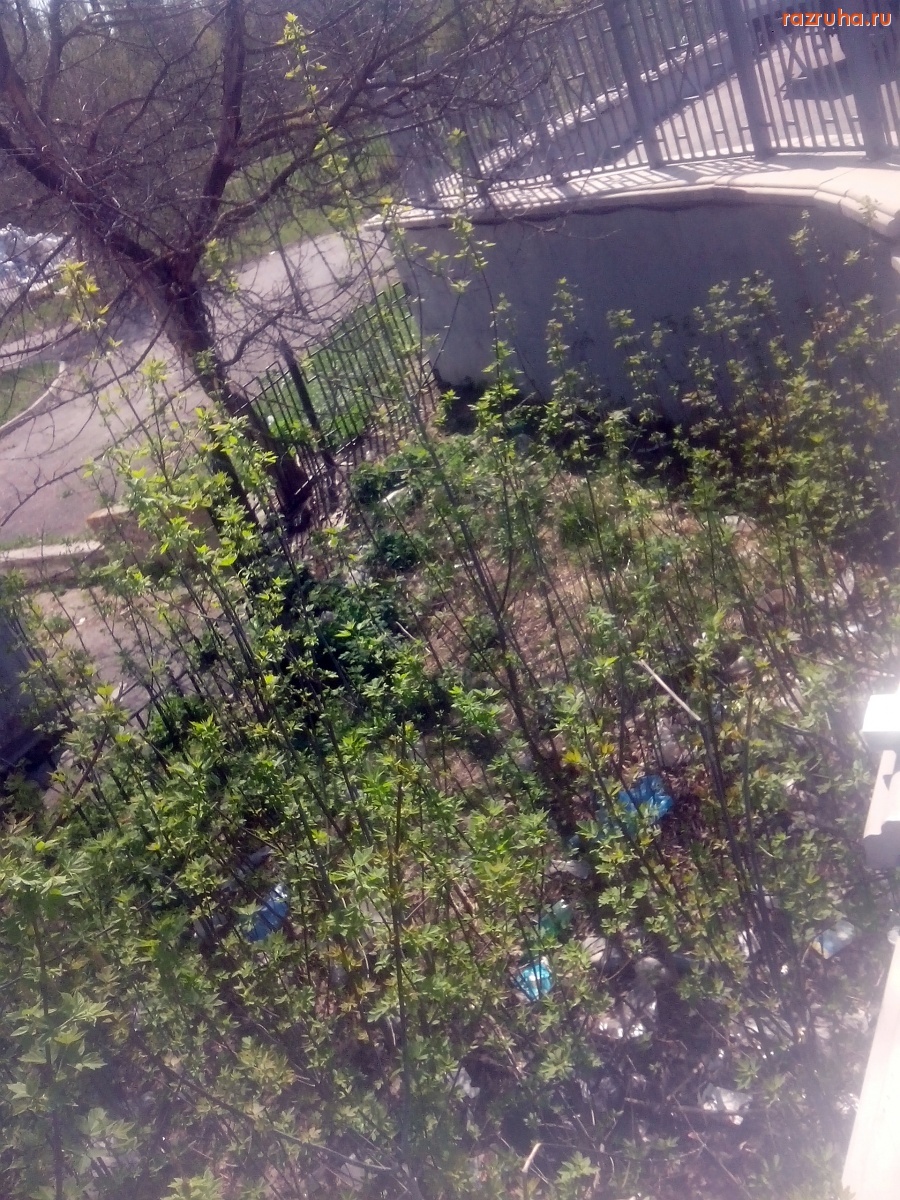 Курск - Накидали бутылок