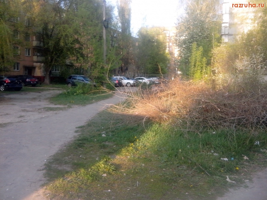 Курск - Куча веток