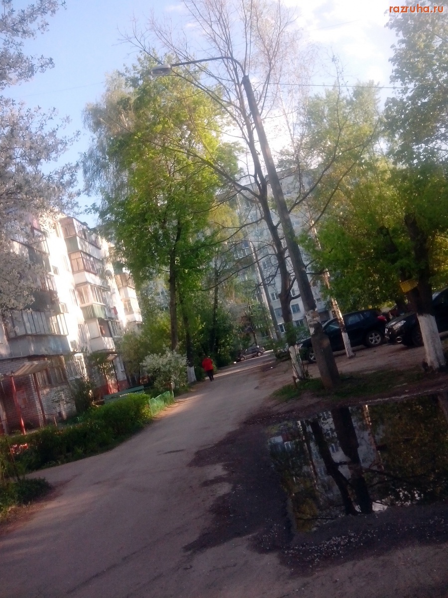 Курск - Высохшее дерево