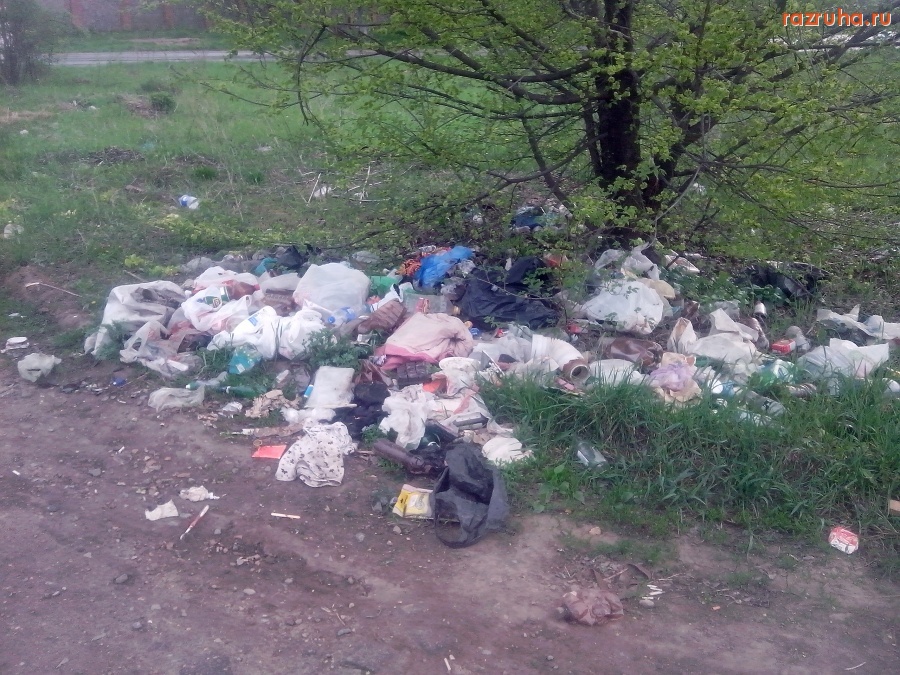 Курск - Под деревцем