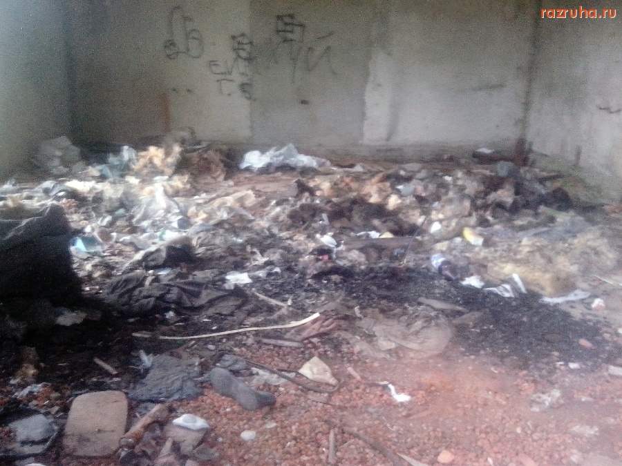 Курск - Вонючая коммунальная заброшенность