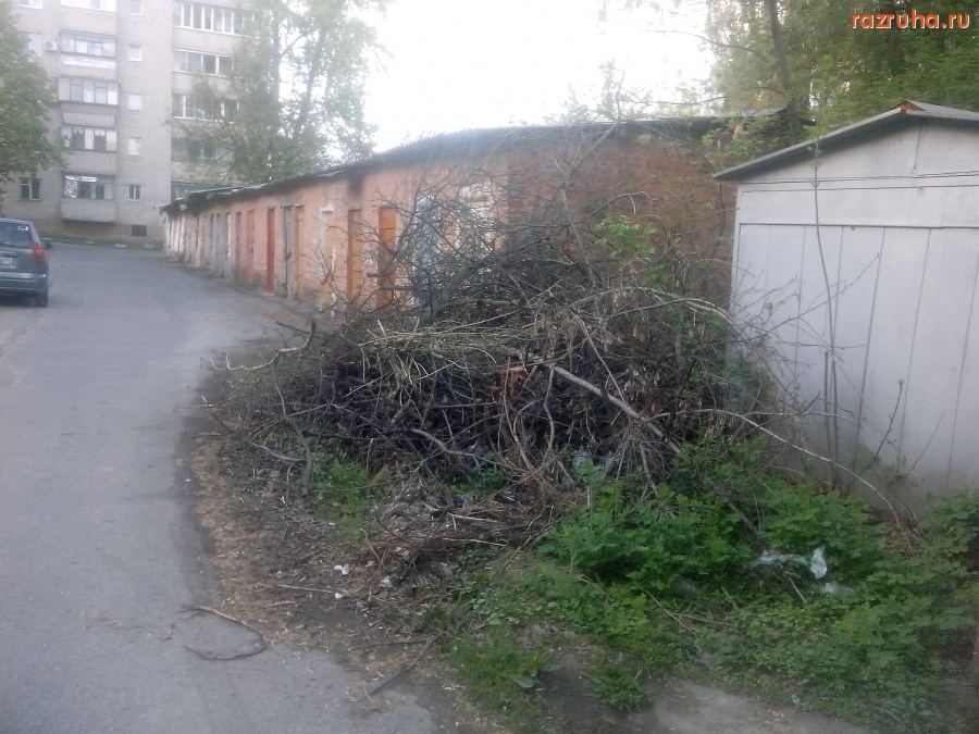 Курск - Куча веток