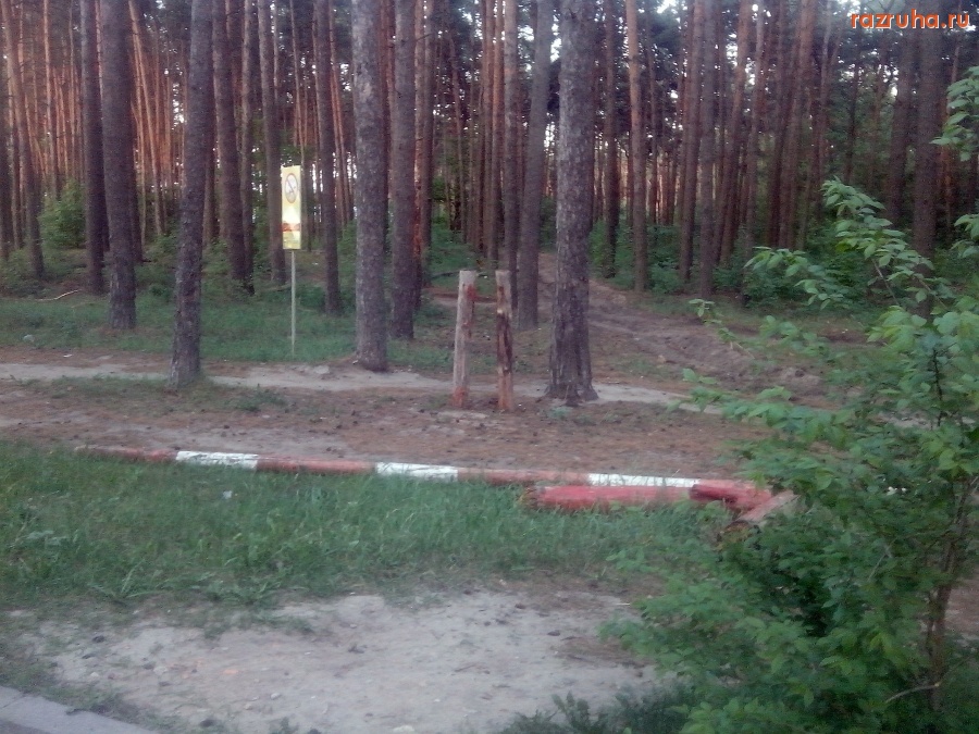 Курск - Шлагбаум