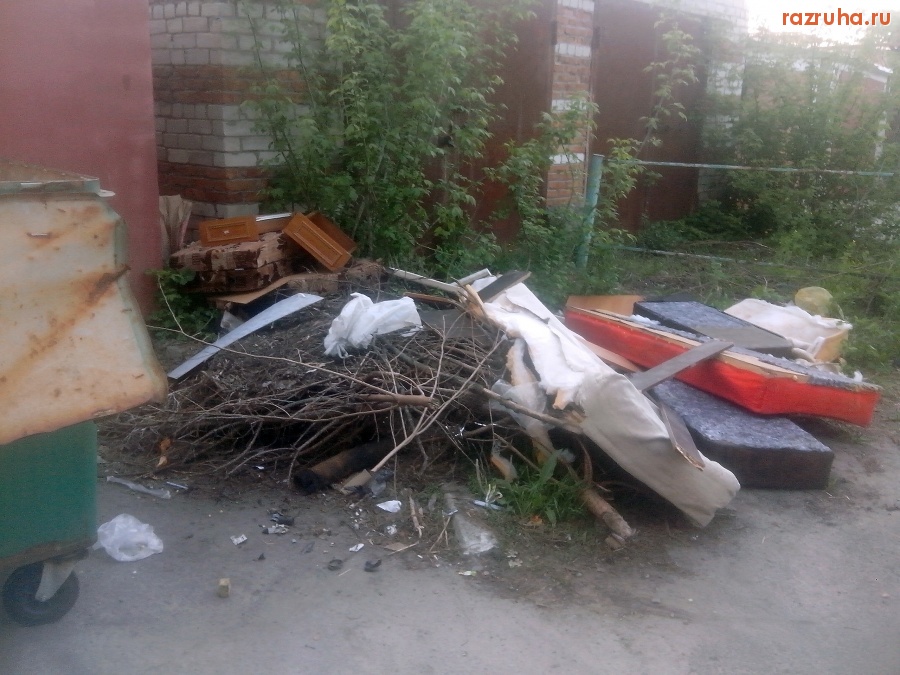 Курск - У помойки