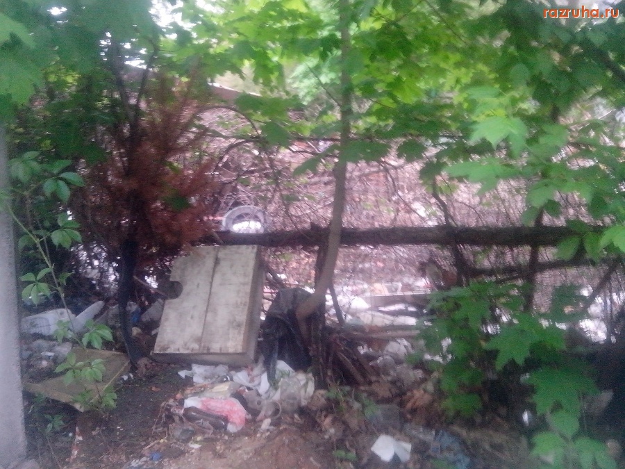 Курск - Помойка с ветками