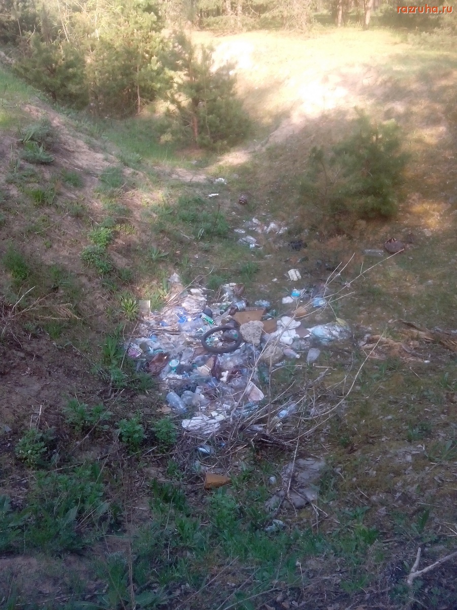 Курск - В овраге