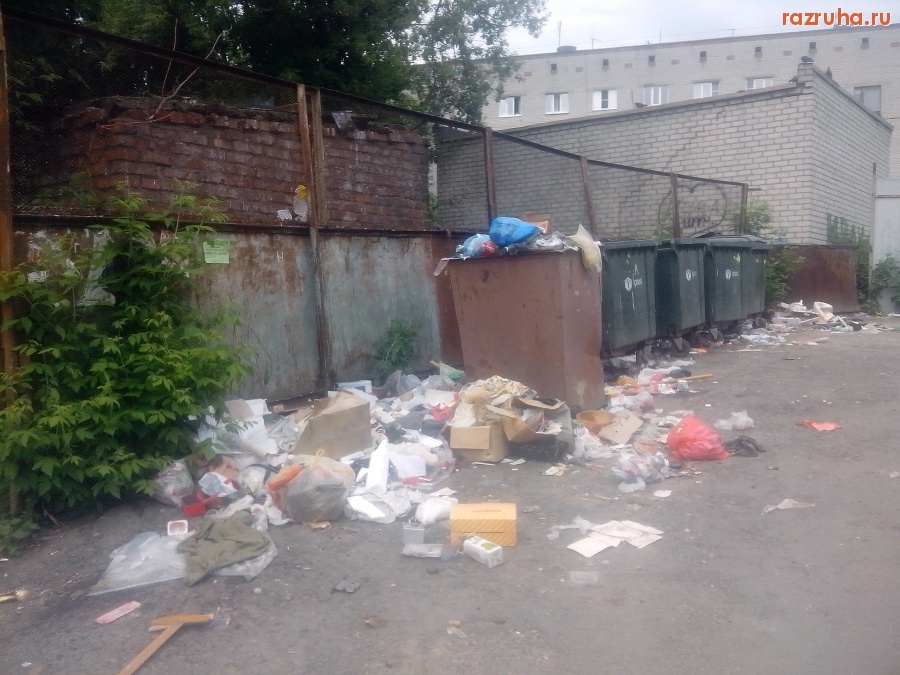 Курск - Грязная помойка