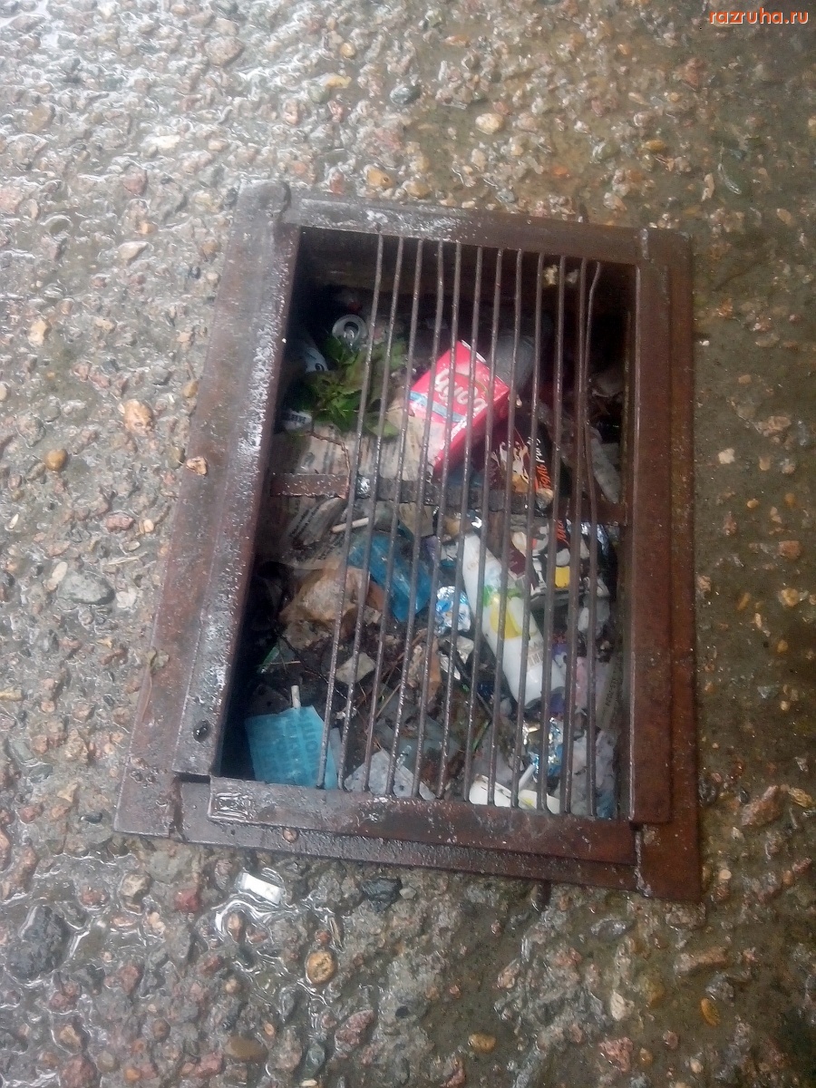 Курск - Гадят под ноги