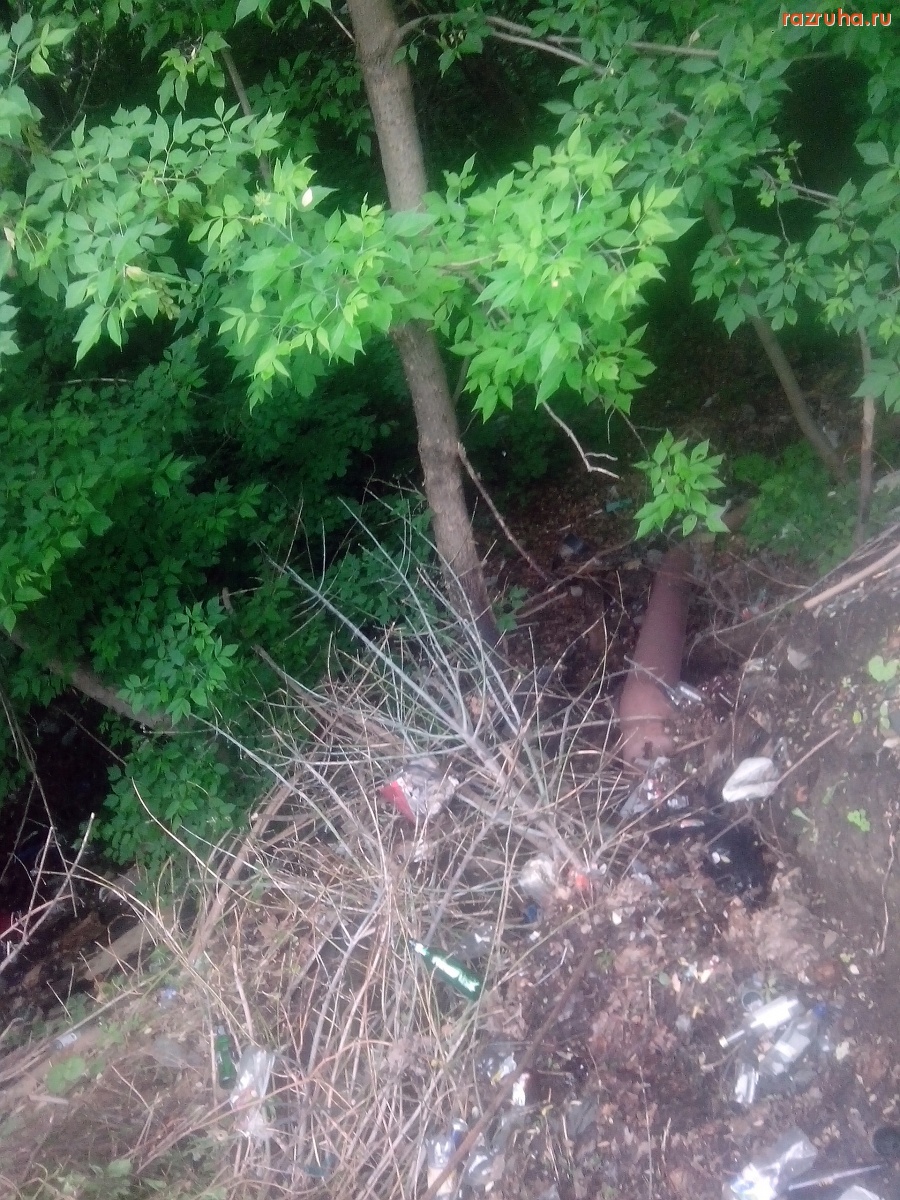 Курск - Гадкий склон