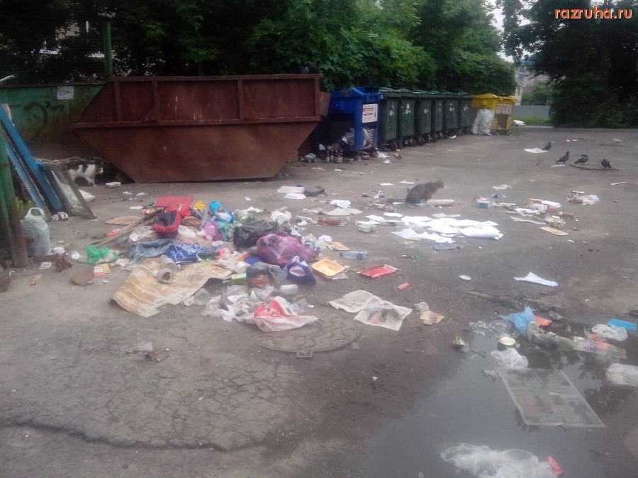 Курск - Состояние помойки
