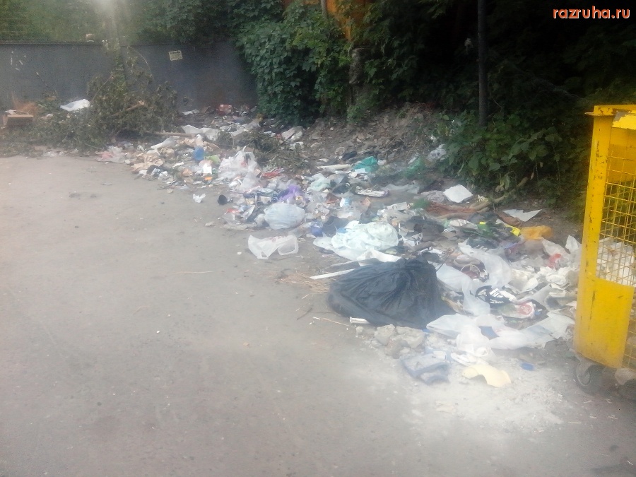 Курск - Мусор на помойке