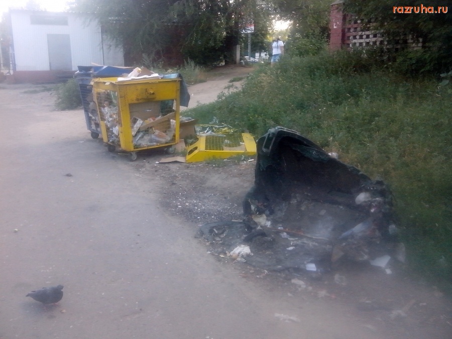 Курск - Помойная хроника