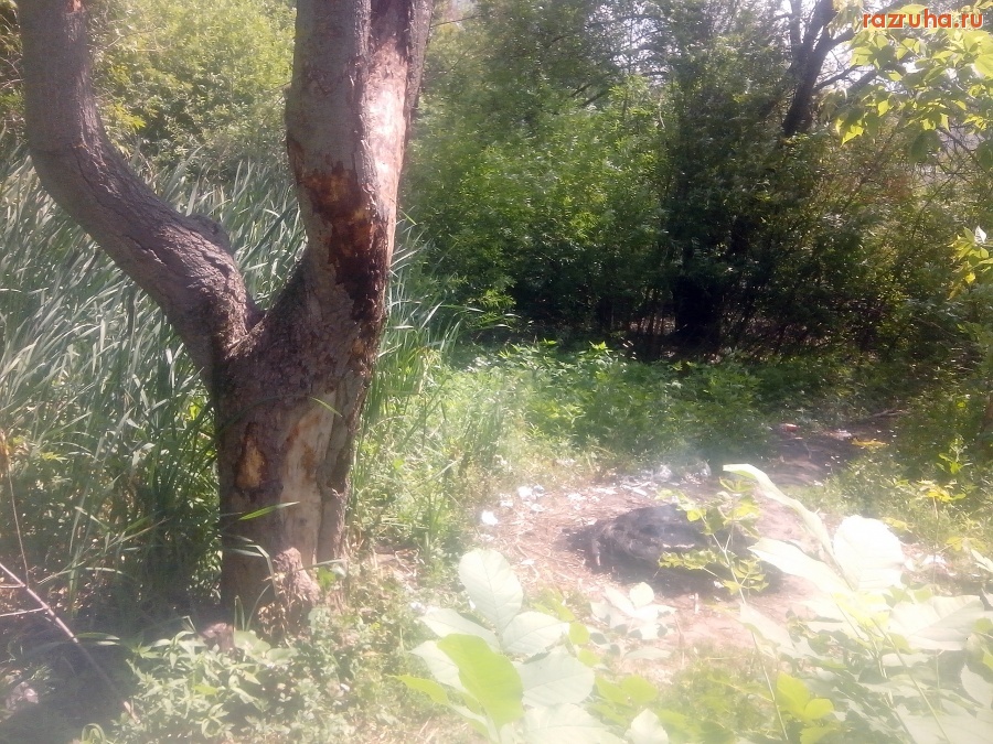 Курск - Недостроенные гаражи