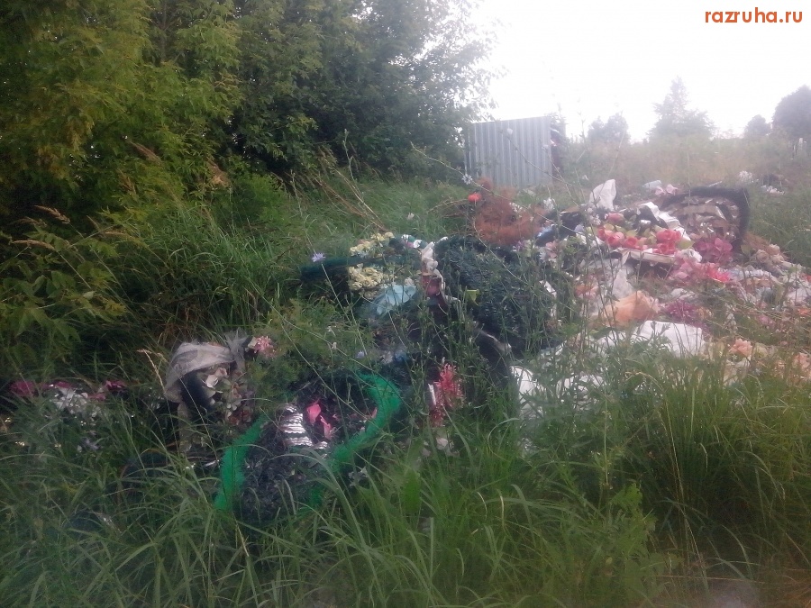 Курск - Заросшая помойка