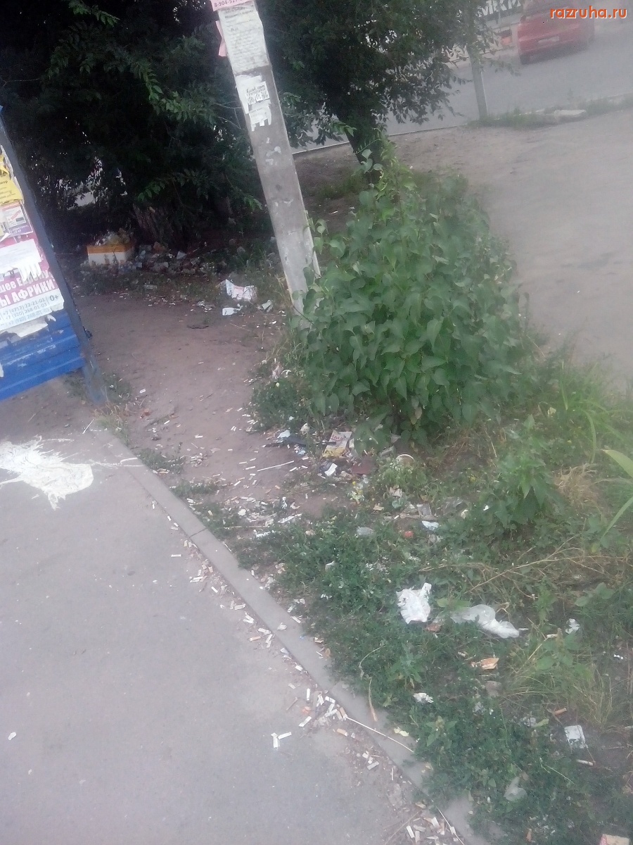 Курск - Мусор за остановкой