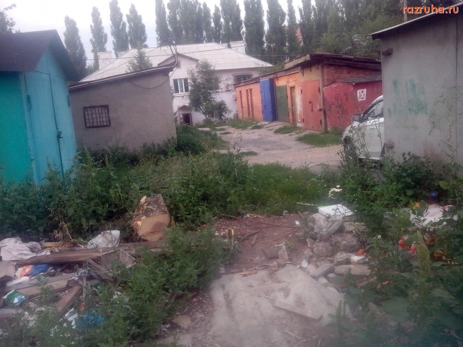 Курск - Мусор у грибка