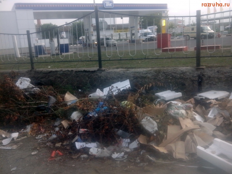 Курск - Кучка на помойке