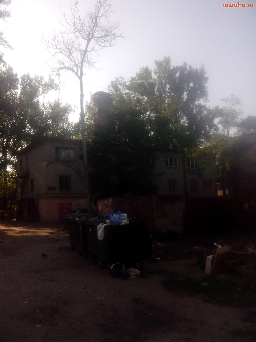 Курск - Дерево у помойки