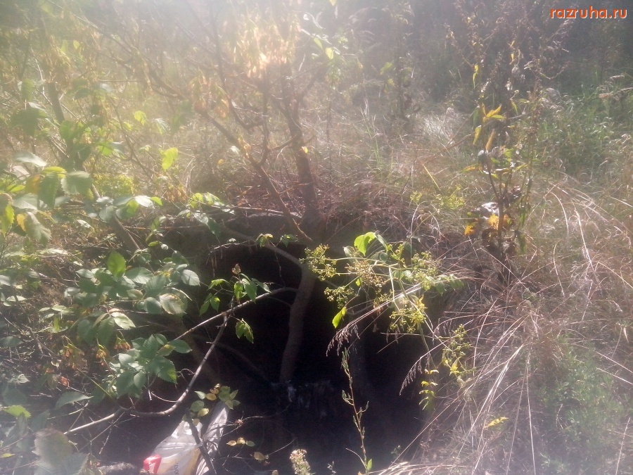 Курск - Загаженная яма