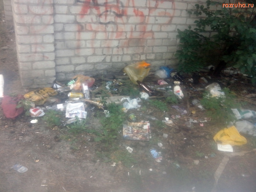 Курск - Мусор в парке