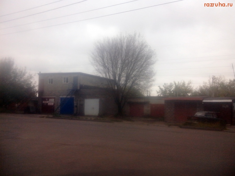 Курск - Засохшее дерево