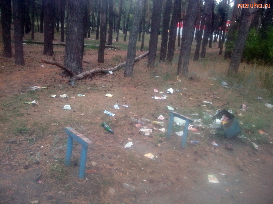 Курск - Загажено вокруг лавки