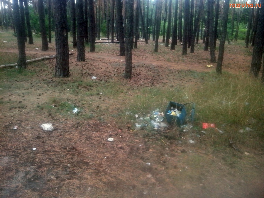 Курск - Урна