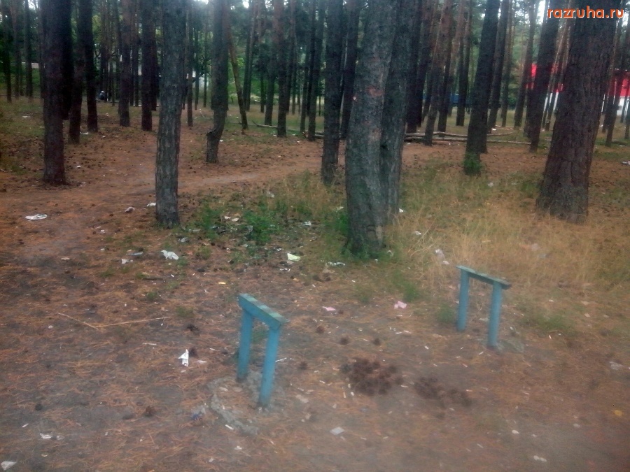 Курск - Лавка