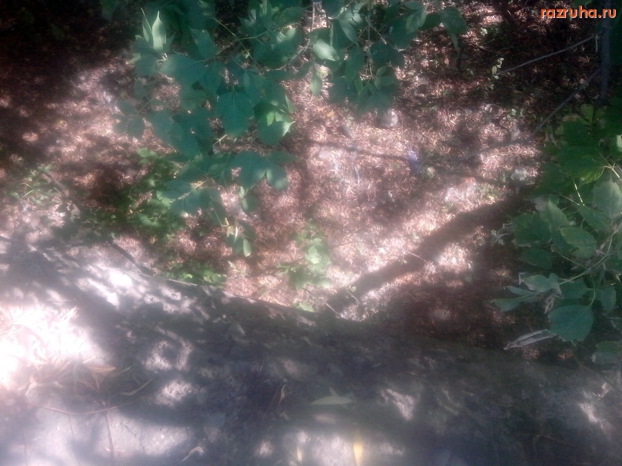 Курск - Перила