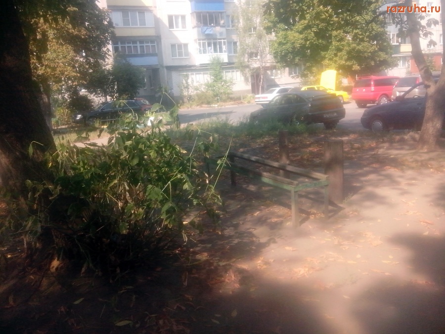 Курск - Лавка