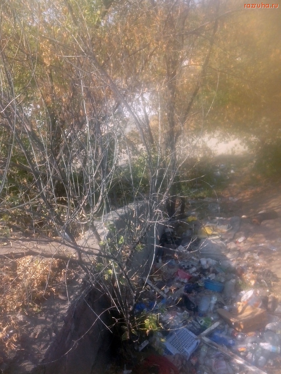 Курск - Мусор у моста